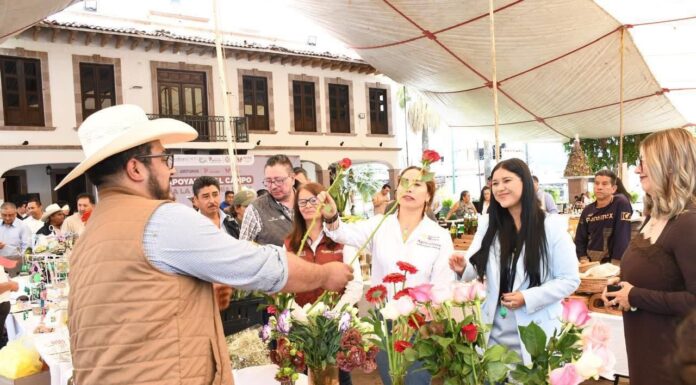Carmen Albarrán impulsa el comercio local y respalda a microempresarios de Donato Guerra