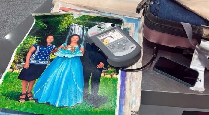 Detectan droga oculta en lienzos en el AICM; refuerzan vigilancia en envíos “artísticos”