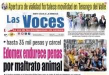 Hasta 35 mil pesos y cárcel… Edomex endurece penas por maltrato animal