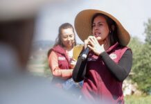 María Guadalupe Franco impulsa infraestructura vial en Chapa de Mota con nueva obra en Emiliano Zapata