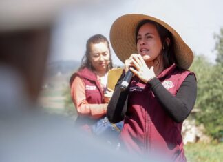 María Guadalupe Franco impulsa infraestructura vial en Chapa de Mota con nueva obra en Emiliano Zapata