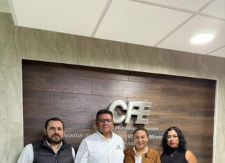 Danae Espinoza gestiona mejoras en alumbrado público para fortalecer la seguridad en Joquicingo