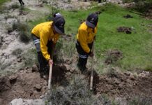Gobierno del Estado de México pone en marcha la Campaña de Restauración Hidrológico-Forestal 2026 para recuperar ecosistemas y prevenir inundaciones