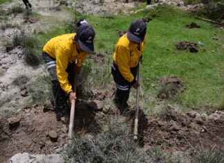 Gobierno del Estado de México pone en marcha la Campaña de Restauración Hidrológico-Forestal 2026 para recuperar ecosistemas y prevenir inundaciones