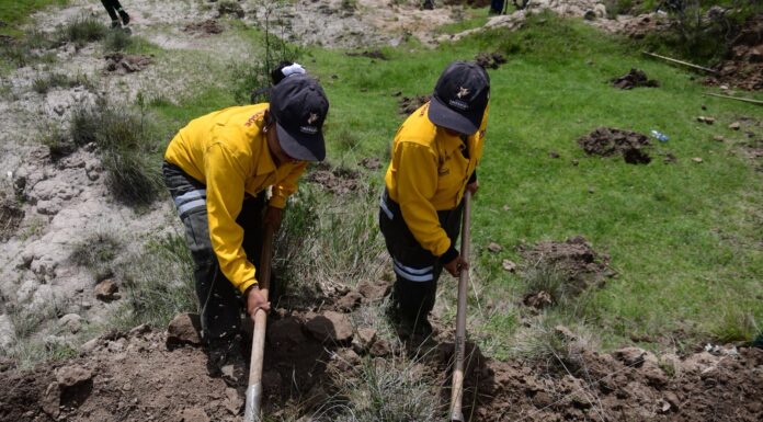 Gobierno del Estado de México pone en marcha la Campaña de Restauración Hidrológico-Forestal 2026 para recuperar ecosistemas y prevenir inundaciones