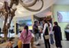 Ecatepec revive el Juego de Pelota Mesoamericano en el MUVA durante la Noche de Museos
