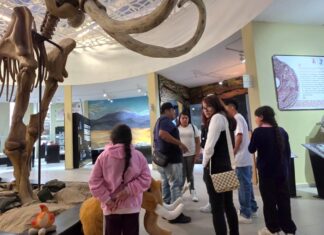 Ecatepec revive el Juego de Pelota Mesoamericano en el MUVA durante la Noche de Museos