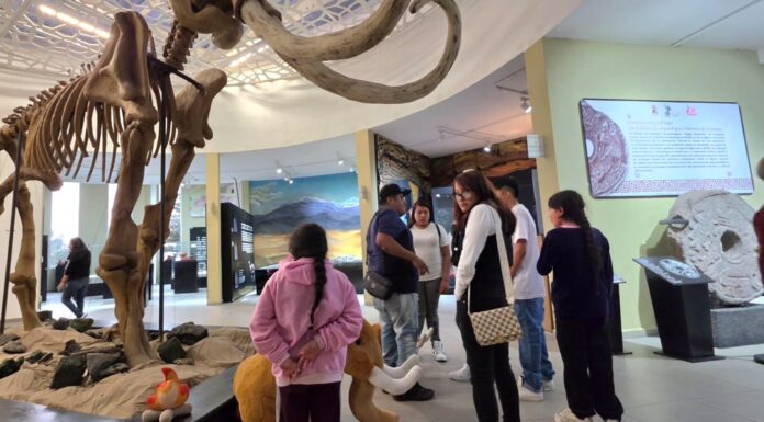 Ecatepec revive el Juego de Pelota Mesoamericano en el MUVA durante la Noche de Museos