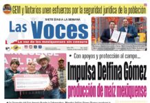 Con apoyos y protección al campo… Impulsa Delfina Gómez producción de maíz mexiquense