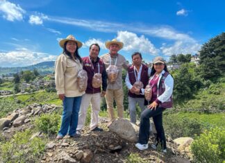 Inician nueva obra en Calvario Buenavista; Jaime Torres Marín reafirma compromiso con el desarrollo de San Felipe del Progreso