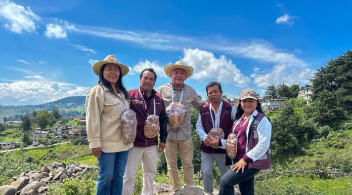Inician nueva obra en Calvario Buenavista; Jaime Torres Marín reafirma compromiso con el desarrollo de San Felipe del Progreso