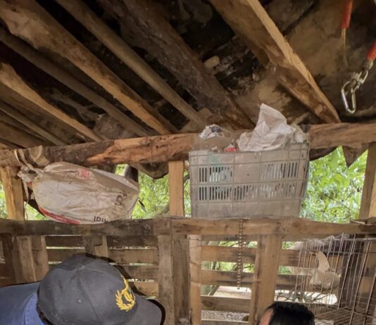 Impulsa Michelle Núñez el desarrollo del campo con jornada de desparasitación ovina en San Gabriel Ixtla