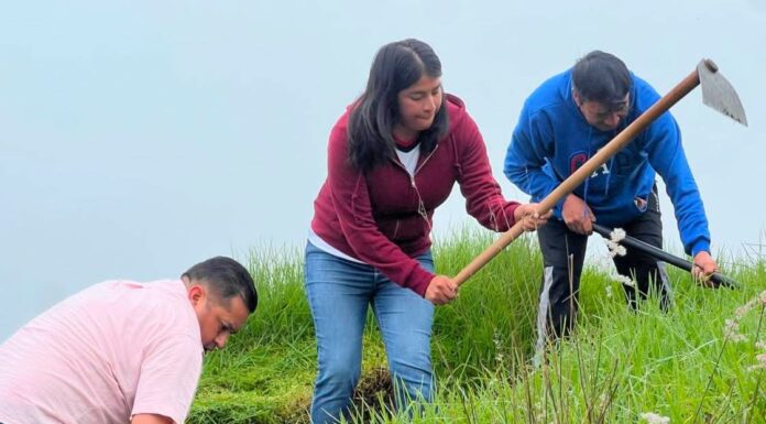 Temoaya fortalece el cuidado de espacios públicos con jornada de limpieza en Las Trojes