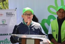 Zinacantepec inicia Programa de Reforestación 2026 con la siembra de cerca de 3 mil árboles