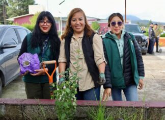 Nancy Valdez encabeza jornada de reforestación en secundaria de Ocoyoacac; plantan más de 200 árboles