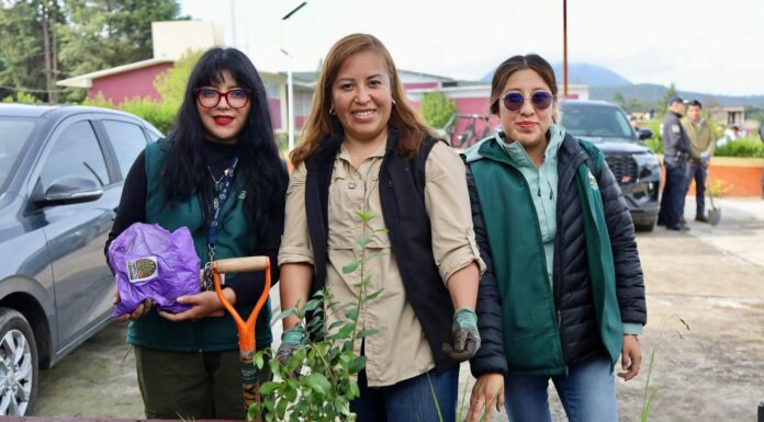 Nancy Valdez encabeza jornada de reforestación en secundaria de Ocoyoacac; plantan más de 200 árboles