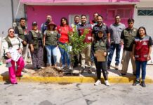 Nezahualcóyotl impulsará estrategia ambiental con la plantación de más de 8 mil árboles