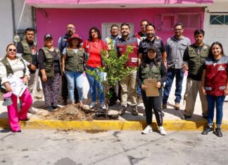 Nezahualcóyotl impulsará estrategia ambiental con la plantación de más de 8 mil árboles