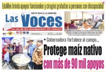 Gobernadora fortalece al campo… Protege maíz nativo con más de 90 mil apoyos