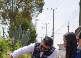 Roselia García impulsa la transformación de La Trinidad y Rinconada de la Laguna con nuevas obras viales