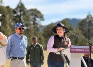 Amecameca fortalece la protección de sus bosques con jornada de reforestación en Paso de Cortés