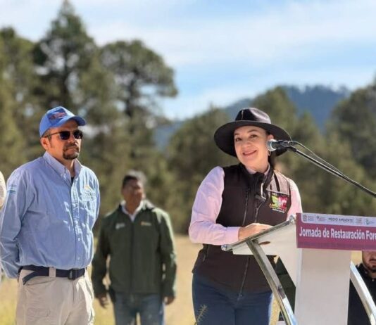 Amecameca fortalece la protección de sus bosques con jornada de reforestación en Paso de Cortés