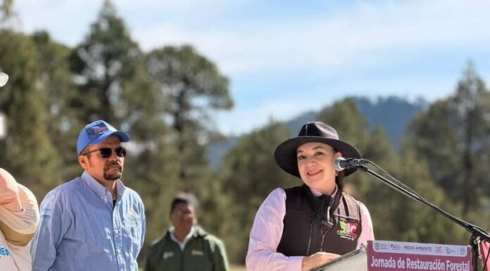 Amecameca fortalece la protección de sus bosques con jornada de reforestación en Paso de Cortés