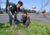 Toluca refuerza arborización urbana para combatir islas de calor