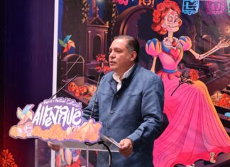Toluca supera meta de reforestación urbana y acelera estrategia ambiental con más de 78 mil árboles plantados