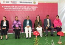 UAEMéx y Gobierno del Edoméx acercan la ciencia y la riqueza biocultural a la sociedad