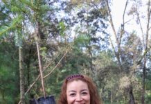 Nicolás Romero se suma a Jornada Nacional de Reforestación con más de 4 mil árboles