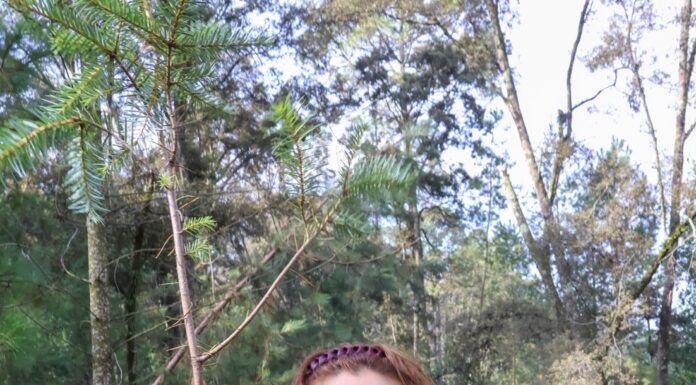 Nicolás Romero se suma a Jornada Nacional de Reforestación con más de 4 mil árboles