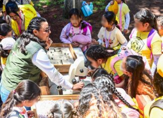 Bosque Escuela acerca a 350 niñas y niños de Metepec al cuidado de los ecosistemas