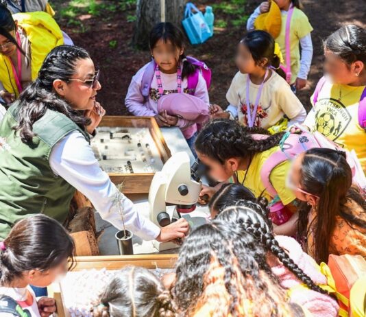 Bosque Escuela acerca a 350 niñas y niños de Metepec al cuidado de los ecosistemas