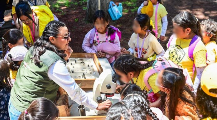 Bosque Escuela acerca a 350 niñas y niños de Metepec al cuidado de los ecosistemas