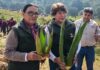 Delfina Gómez encabeza en Temoaya Jornada Nacional de Reforestación 2026 en el Estado de México