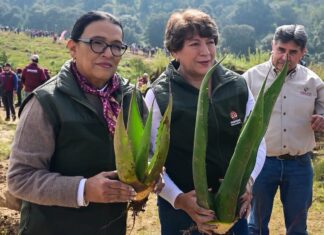 Delfina Gómez encabeza en Temoaya Jornada Nacional de Reforestación 2026 en el Estado de México