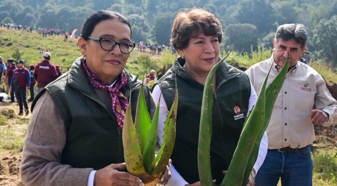 Delfina Gómez encabeza en Temoaya Jornada Nacional de Reforestación 2026 en el Estado de México