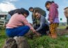 Erika Olea fortalece el trabajo comunitario con reforestación y faena en Meztitla