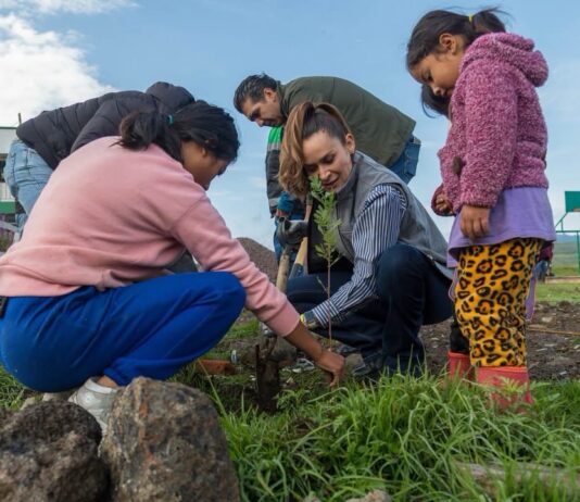 Erika Olea fortalece el trabajo comunitario con reforestación y faena en Meztitla