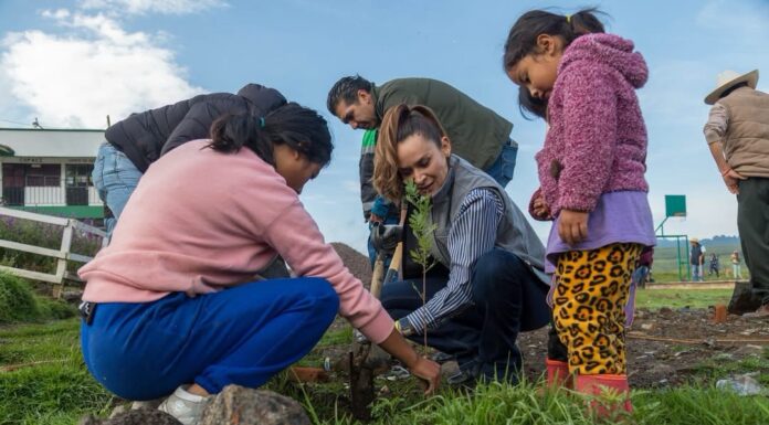 Erika Olea fortalece el trabajo comunitario con reforestación y faena en Meztitla