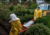 Ébola rebasa las 3 mil 500 muertes en el Congo; la epidemia avanza pese al despliegue sanitario
