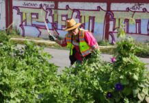 Ecatepec refuerza jornadas de limpieza; retiran más de 300 mil toneladas de basura