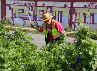 Ecatepec refuerza jornadas de limpieza; retiran más de 300 mil toneladas de basura