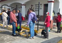 Ricardo Moreno impulsa servicios de bienestar animal en la zona norte de Toluca