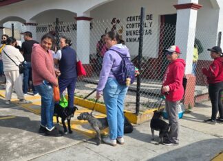 Ricardo Moreno impulsa servicios de bienestar animal en la zona norte de Toluca