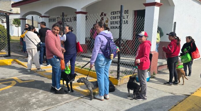 Ricardo Moreno impulsa servicios de bienestar animal en la zona norte de Toluca