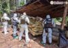 Golpe a la producción de drogas: desmantelan cuatro laboratorios clandestinos en Michoacán y Guerrero