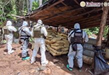 Golpe a la producción de drogas: desmantelan cuatro laboratorios clandestinos en Michoacán y Guerrero