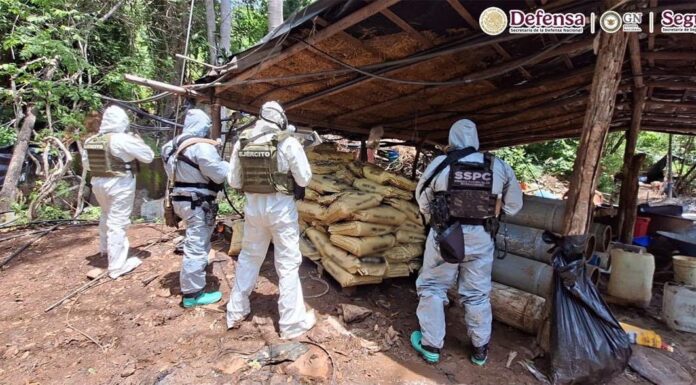 Golpe a la producción de drogas: desmantelan cuatro laboratorios clandestinos en Michoacán y Guerrero